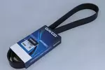 Pasek klinowy wielorowkowy DAYCO 8PK1295