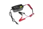 Prostownik, ładowarka do akumulatorów 12V 6A Green Cell ACAGM10
